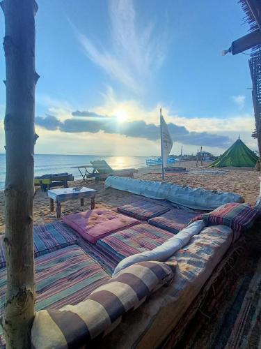 www.bluebird-cottage.com
