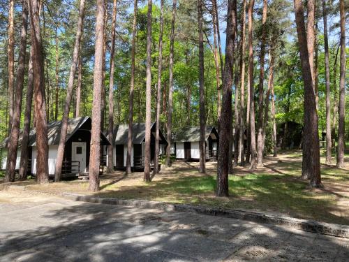 www.hofman-hotels.cz