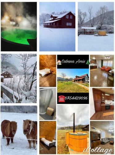 www.ostrascaulin.cl