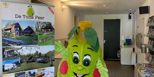 www.detoffepeer.nl