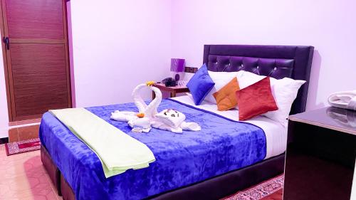 www.darelmarsa.com