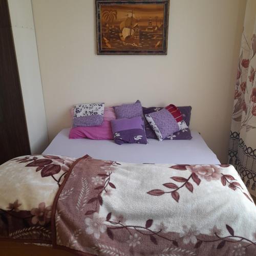 www.cityhostelsrinagar.com