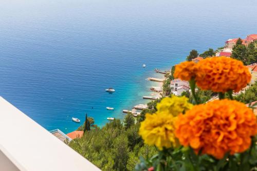 www.maretours.hr