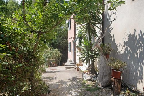 www.hotelbonalba.com