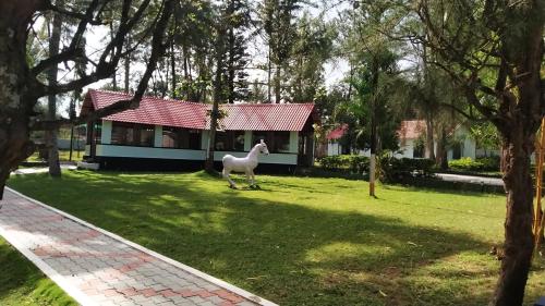 www.julianhotels.com
