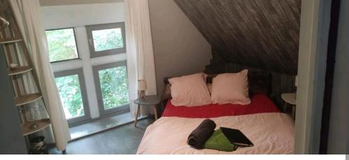 www.lasorniere.com