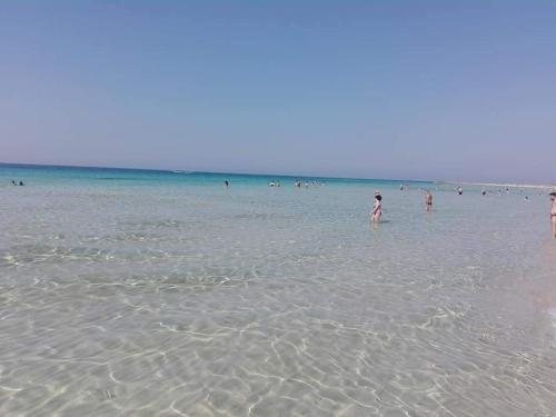www.algheroaccommodation.it