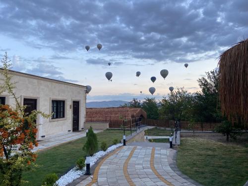 www.theelixirhotels.com