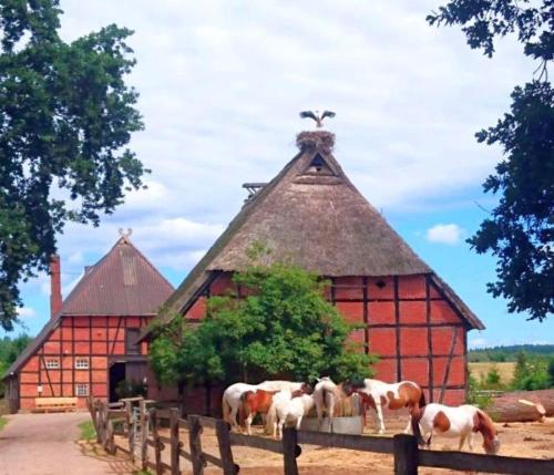 www.gurterhof.com