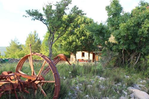 www.campingpodlasem.pl