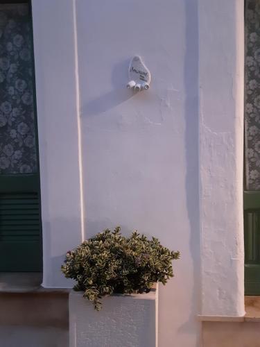 www.pugliahotel24.it