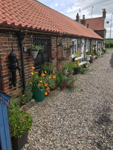 www.yarmcottages4u.co.uk