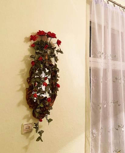www.listafirme.ro