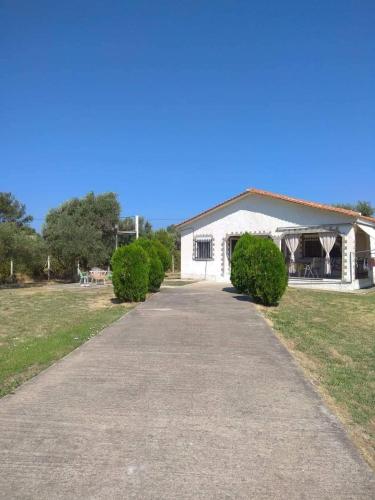www.hotelwhitesands.com