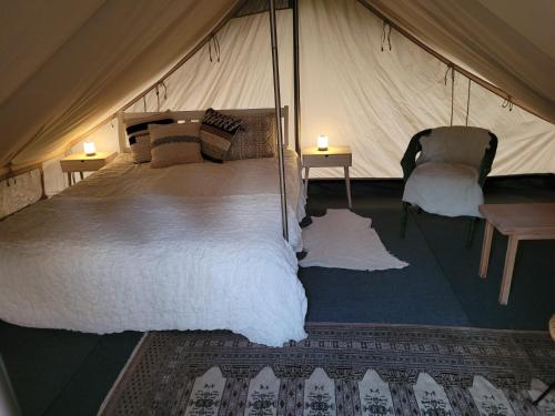 www.campingdolomiti.com