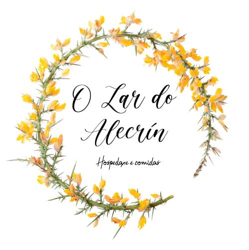 www.oceandreamcabarete.com