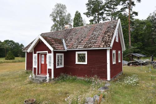 www.cosynestcamp.com