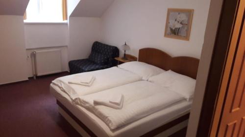 www.zameckyhotel-nachod.cz
