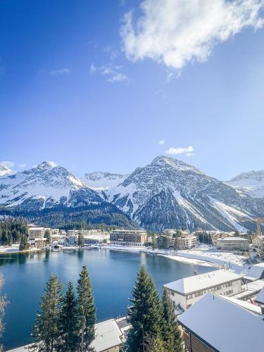 www.aves-arosa.ch