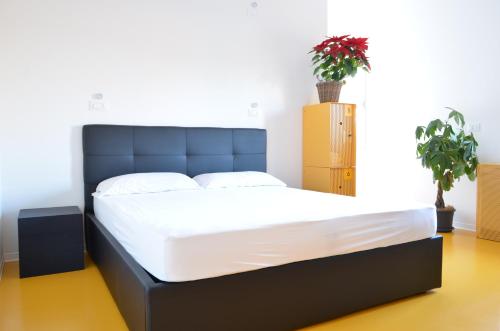 www.nounhotel.com