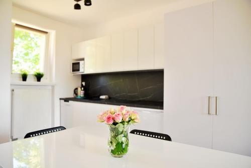 www.lotniskoleszno.pl