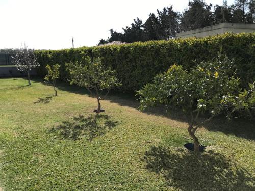 www.villa-celeste.com