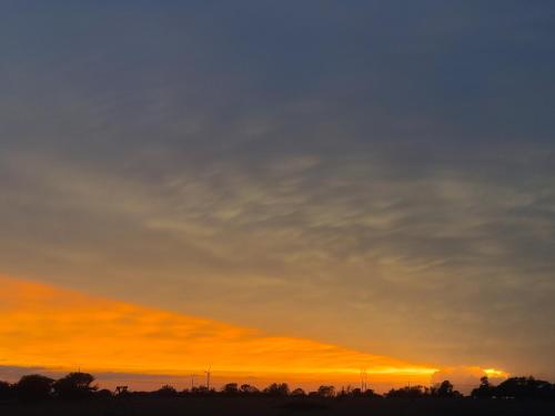 www.cannenburgh.org