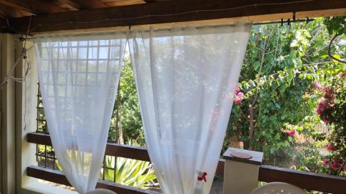 www.vipingoridge.com