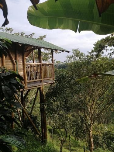 www.vacacionesquindio.com