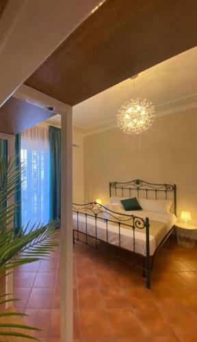 www.zoomieshotels.com