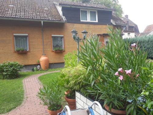 www.lapiccolaperla.cz