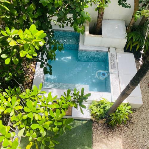 www.acasadialexplayadelcarmen.com