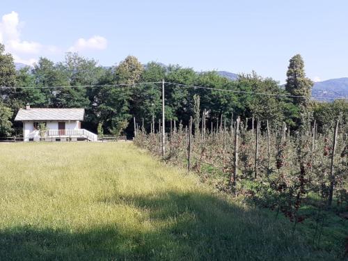 www.agriturismobonettone.it