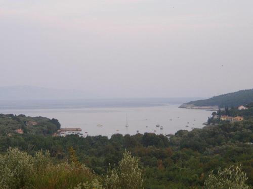 www.mountaincovemarina.com