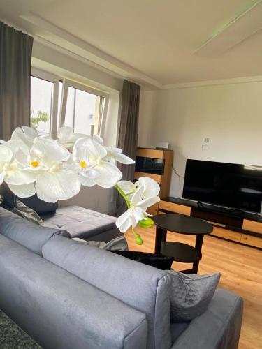 www.apartament-podhale.pl