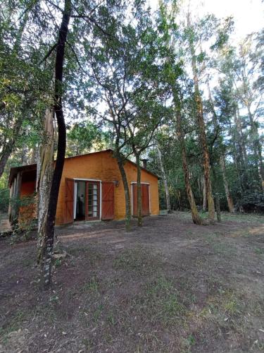 www.dalmacija-camp.com