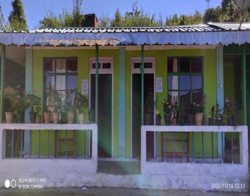 www.rotoruacityhomestay.com