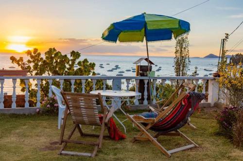www.lajoyahostel.com
