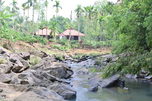 www.losnaranjostownhouses.com