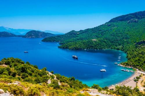 www.villadolphin.gr