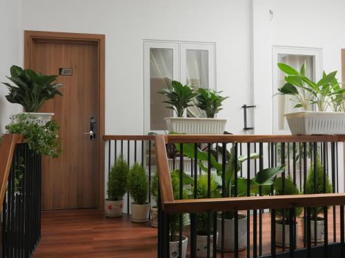 www.felizdalathomestay.com