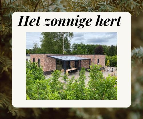 www.hetzonnigehert.com