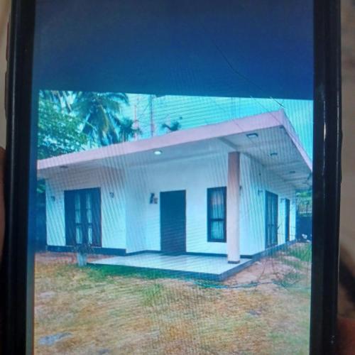 www.jungle-addition.com
