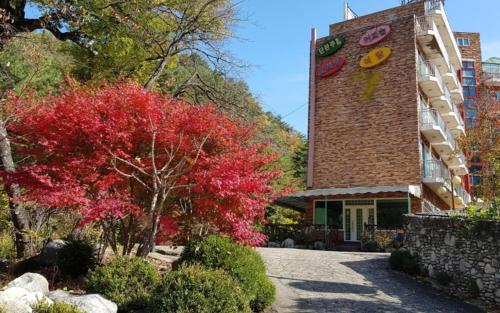 www.hotel-wastlsaege.de
