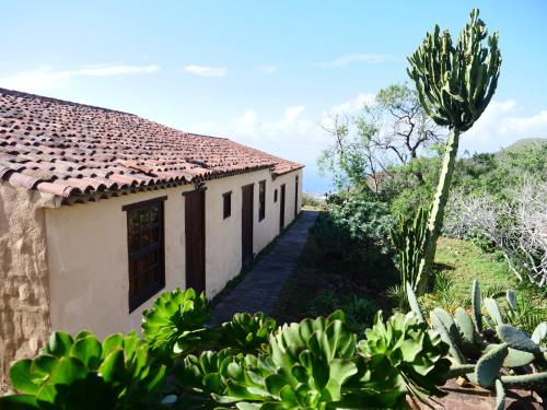www.wellhomestenerife.com