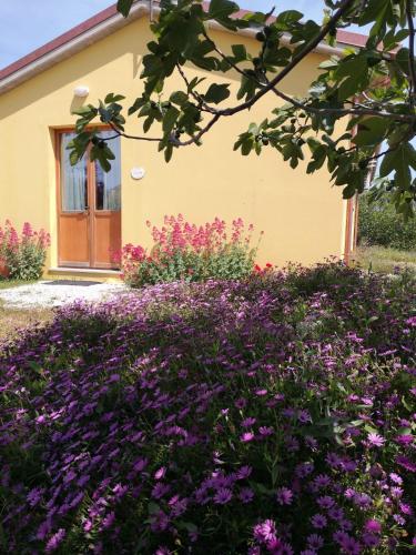 www.agriturismoiciliegi.it