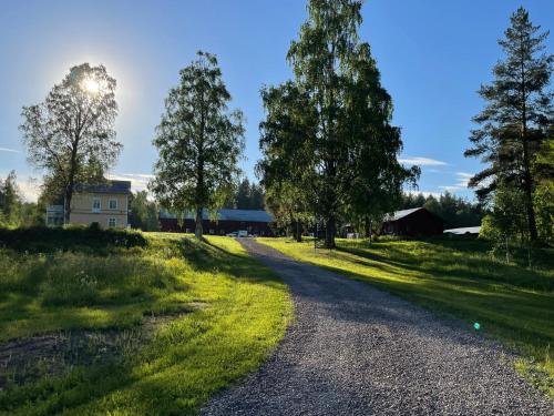 www.rosfors.se