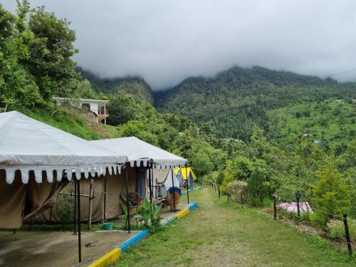www.jungleliveinncamps.in