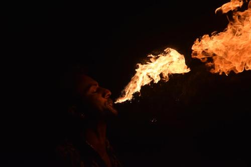 www.faxe-ldp-camping.dk