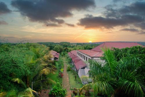 www.morphohotels.com